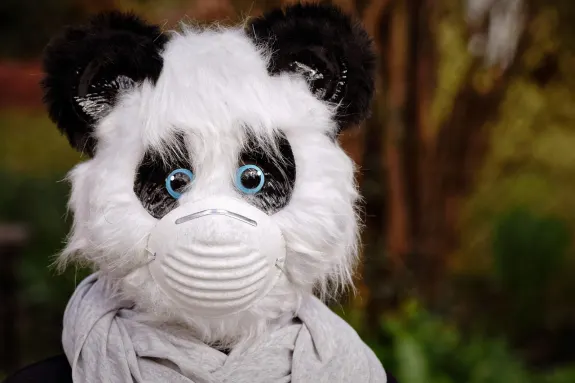 9 Casino Ënnerstëtzung